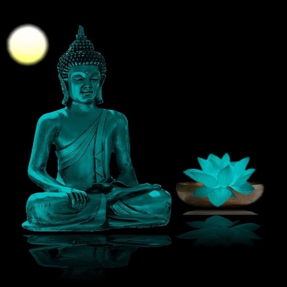 Meet your Posher, Brandi